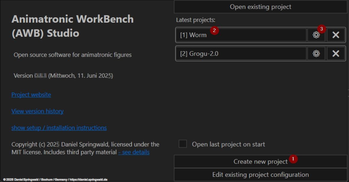 project manager